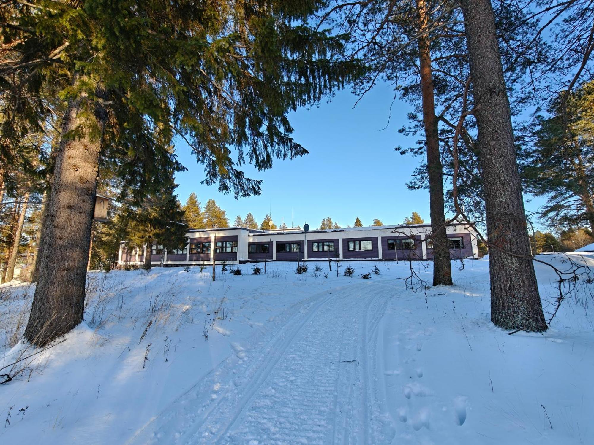 Goiglo Hotel & Hostel 库萨莫 外观 照片